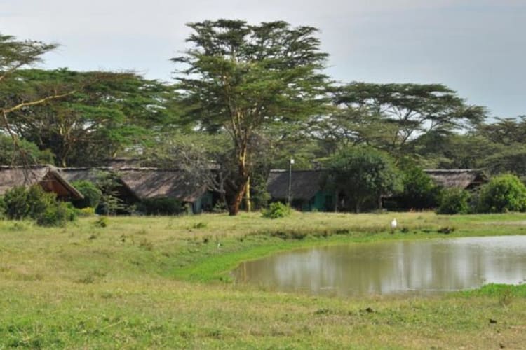 Water hole